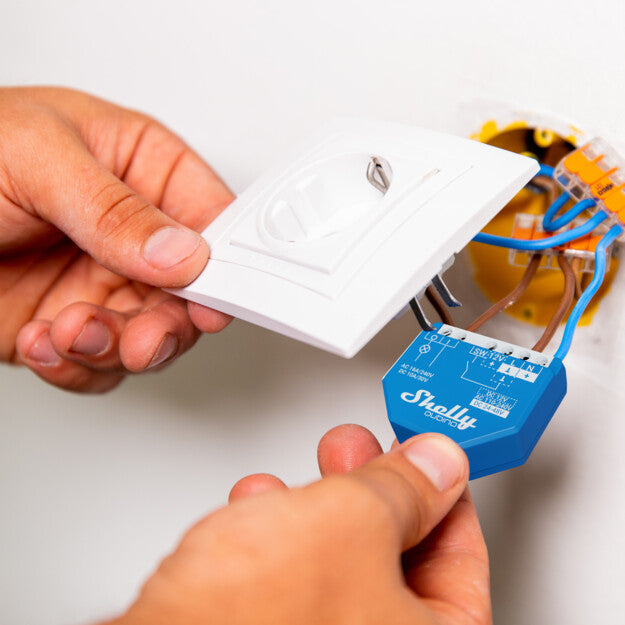 Shelly Qubino Wave 1