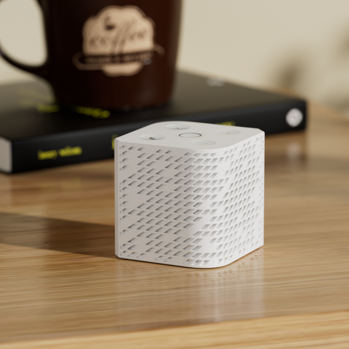 Voice & Music Assistant Dev Edition