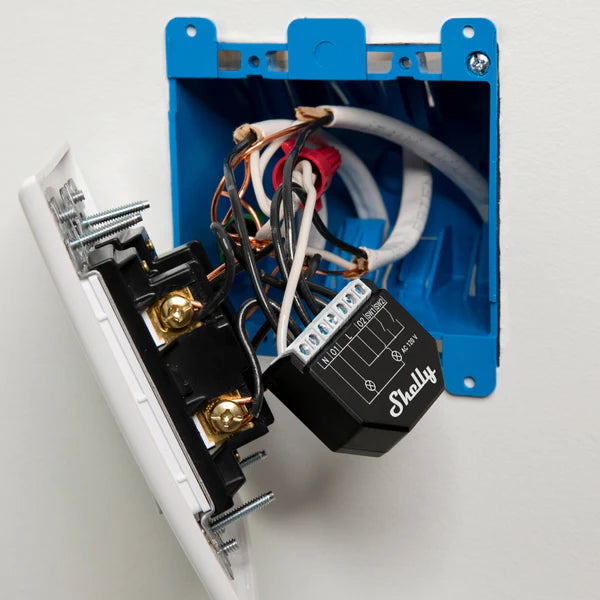 Shelly Qubino Wave 2PM