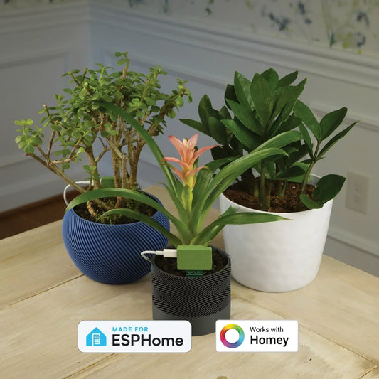 Your Plants Are Judging You. And They’re Probably Right.