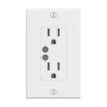 ThirdReality Smart Wall Outlet ZW1