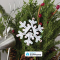 Apollo H-2 Annual Holiday Ornament For Charity