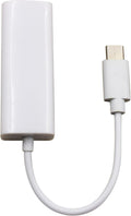 USB-C 2.0 to Gigabit Ethernet Adapter
