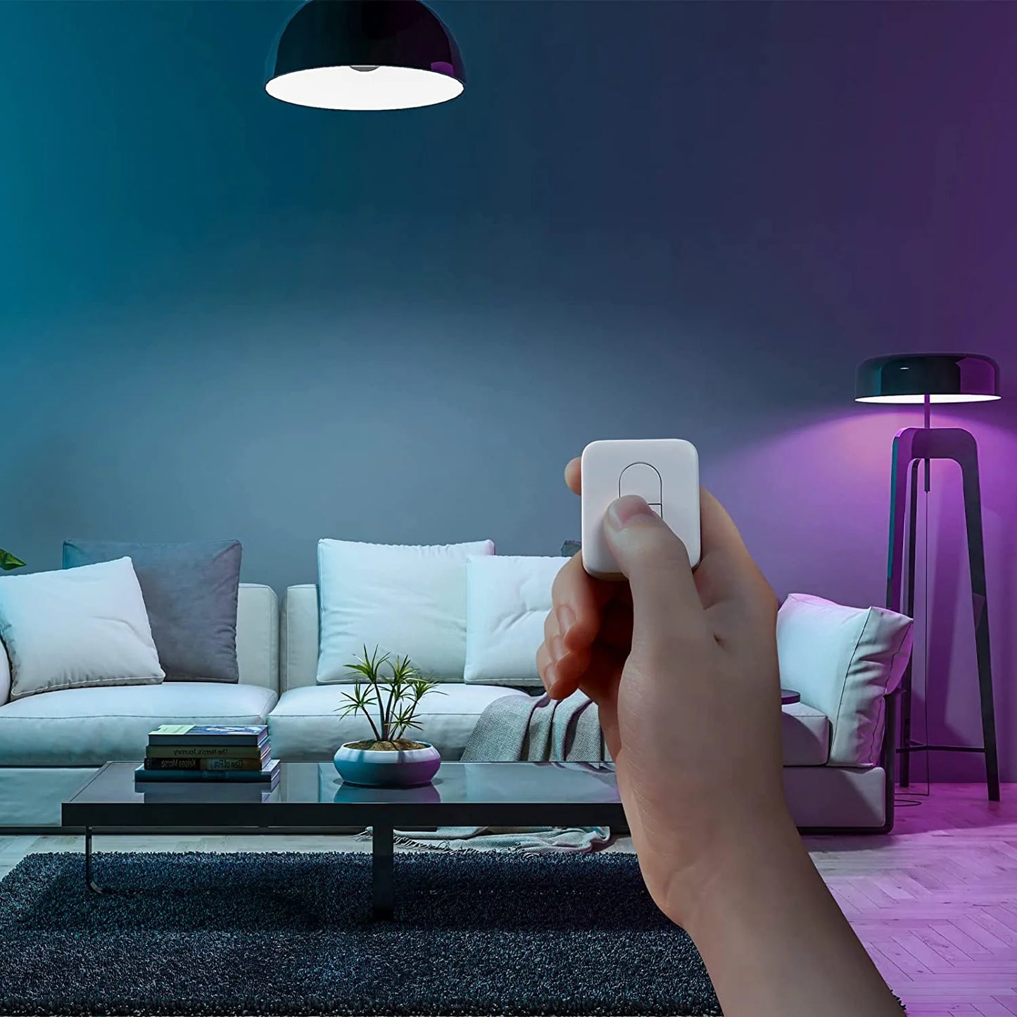 SwitchBot Remote