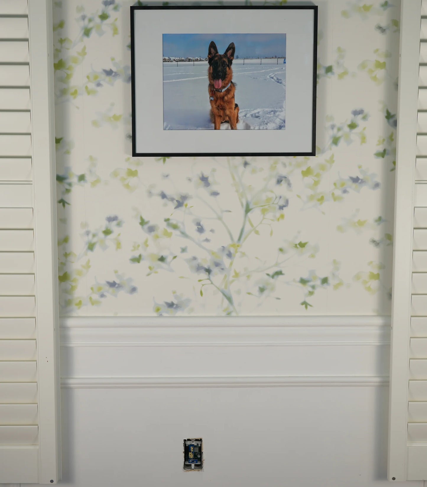 R PRO-1 PoE mmWave Multisensor