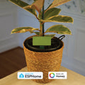 PLT-1 Ultimate Plant Sensor For Home Assistant