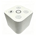 PineVoice Smart Speaker