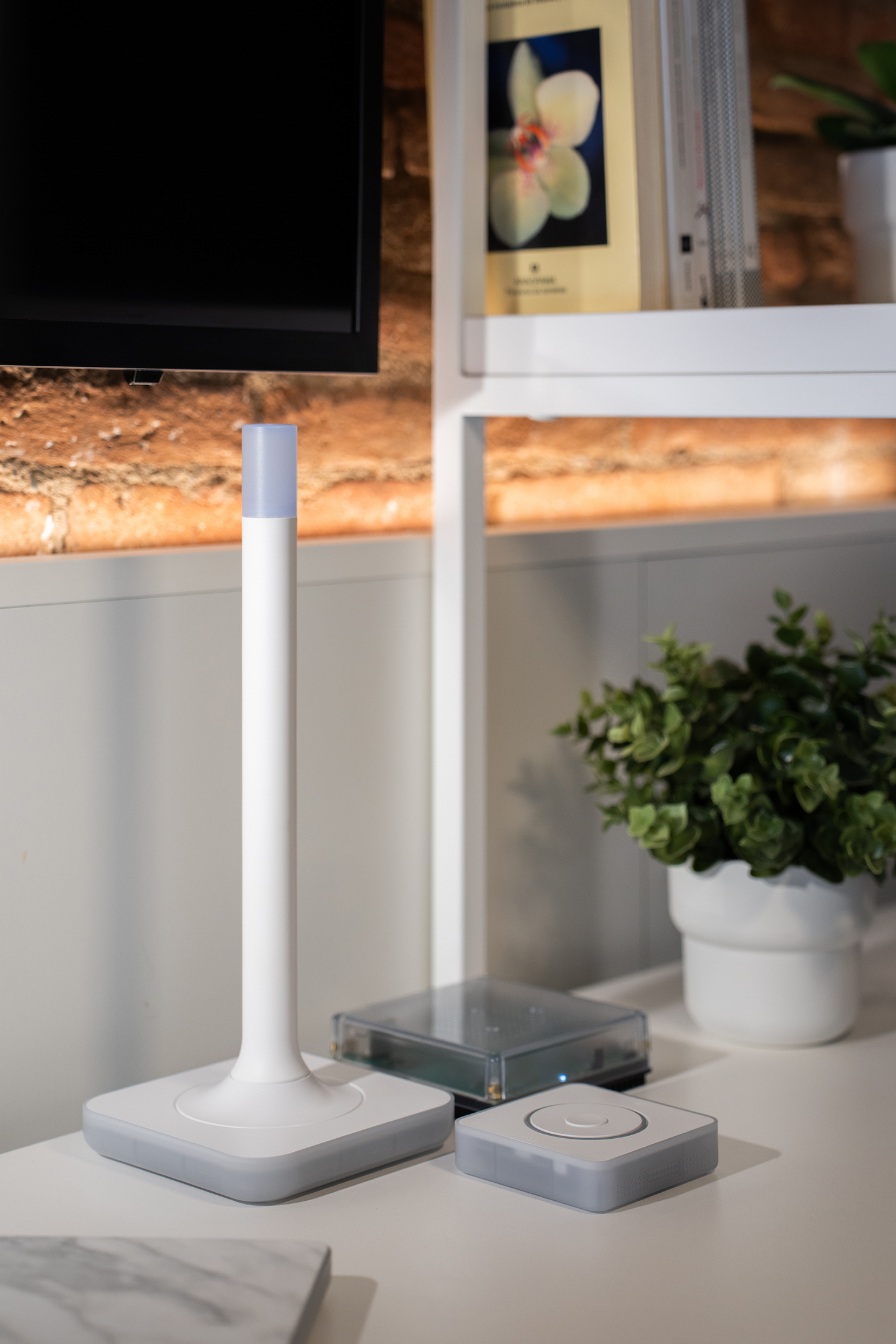 Home Assistant Connect ZWA-2